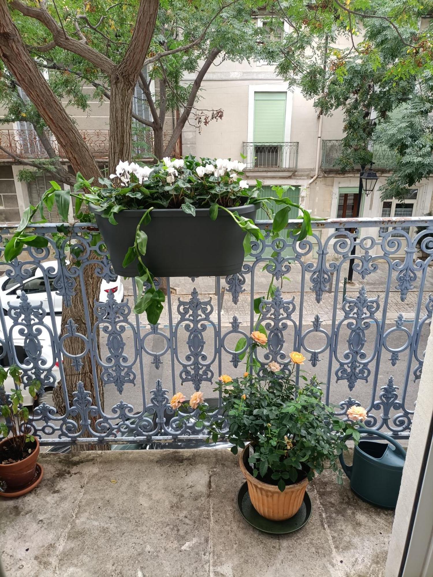 AramonA Deux Pas D'Avignon别墅 外观 照片